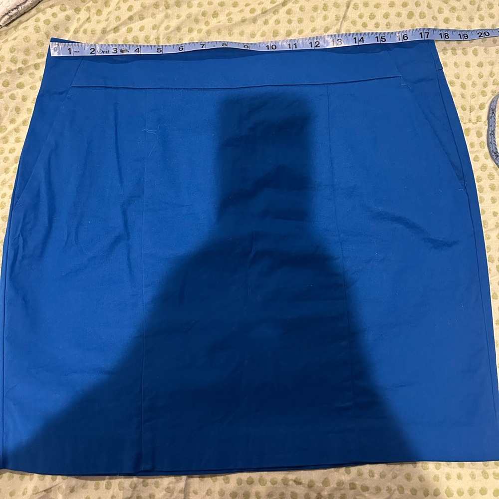 Ann Taylor Madison skirt 12
